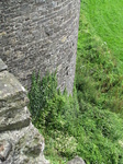 SX23475 Conwy medieval wall.jpg